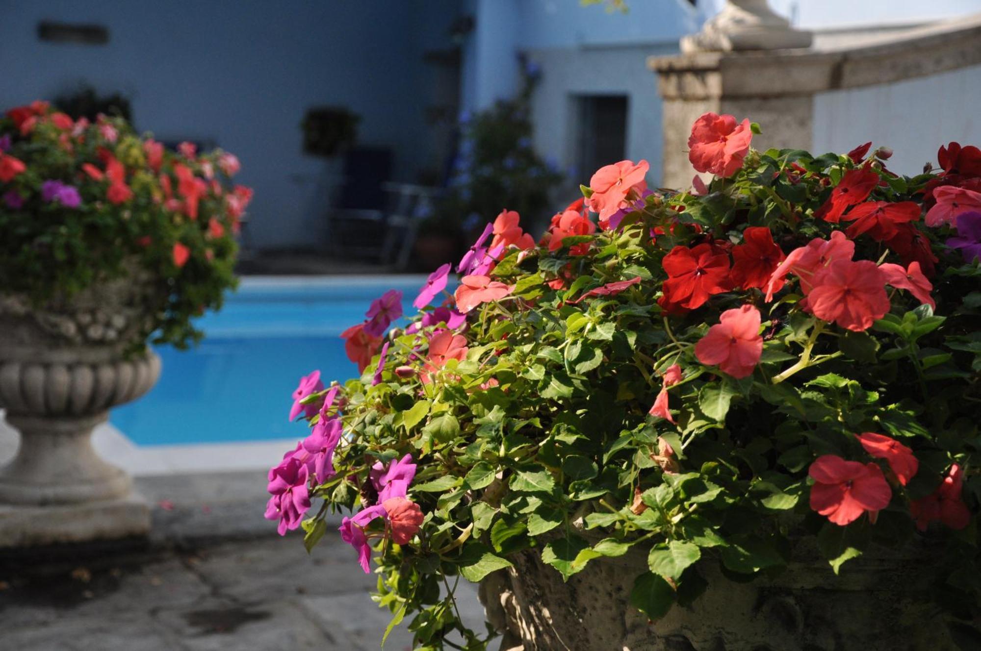 วิลลา อันนามาเรีย บีแอนด์บี Bed & Breakfast โดมาโซ ภายนอก รูปภาพ