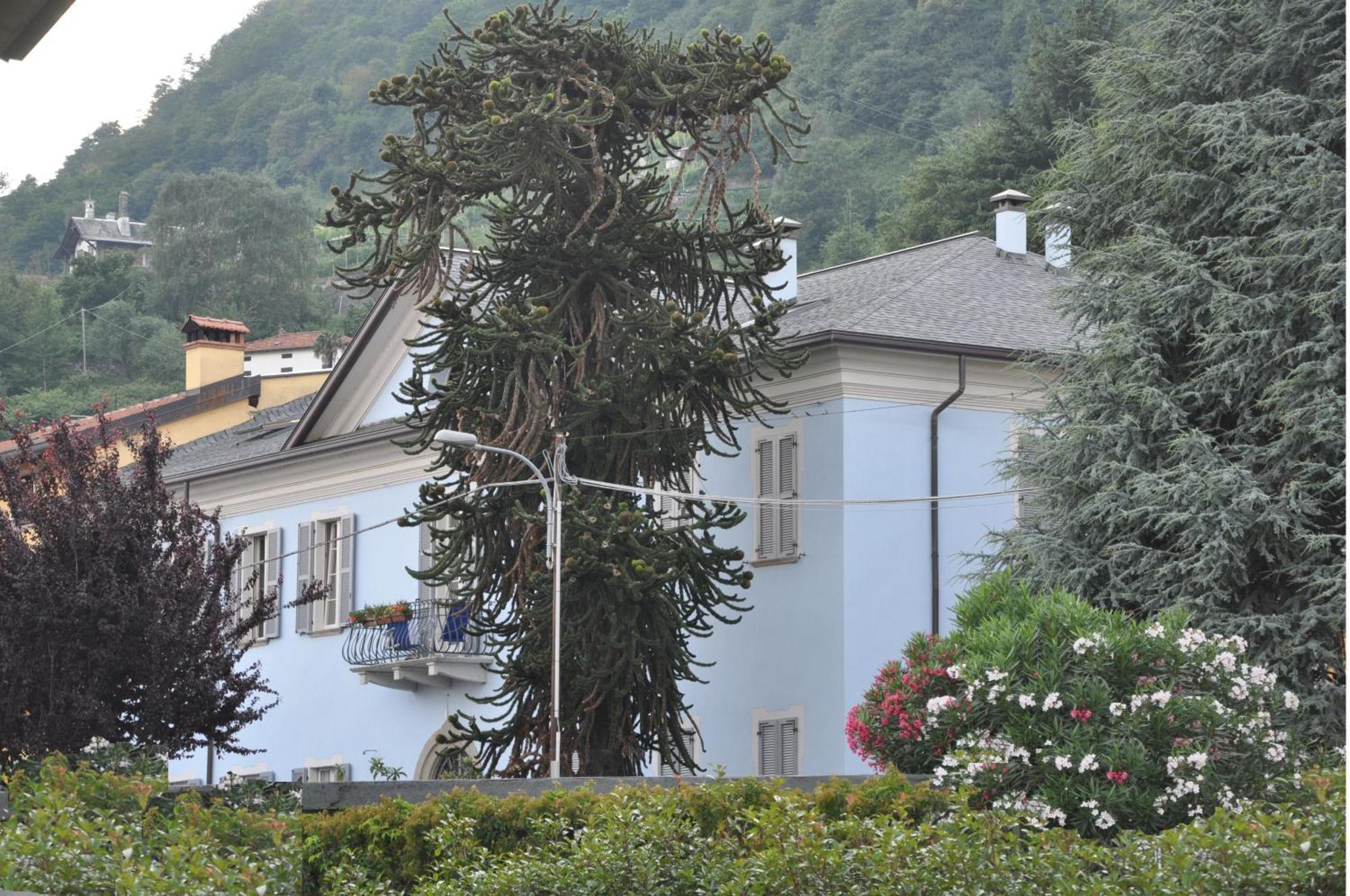 วิลลา อันนามาเรีย บีแอนด์บี Bed & Breakfast โดมาโซ ภายนอก รูปภาพ