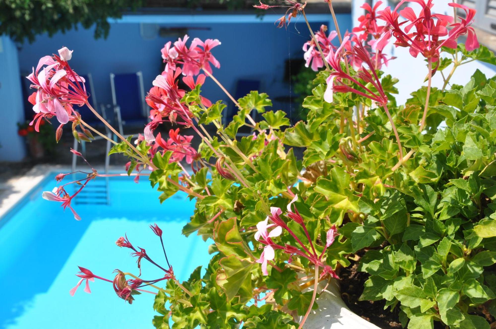 วิลลา อันนามาเรีย บีแอนด์บี Bed & Breakfast โดมาโซ ภายนอก รูปภาพ